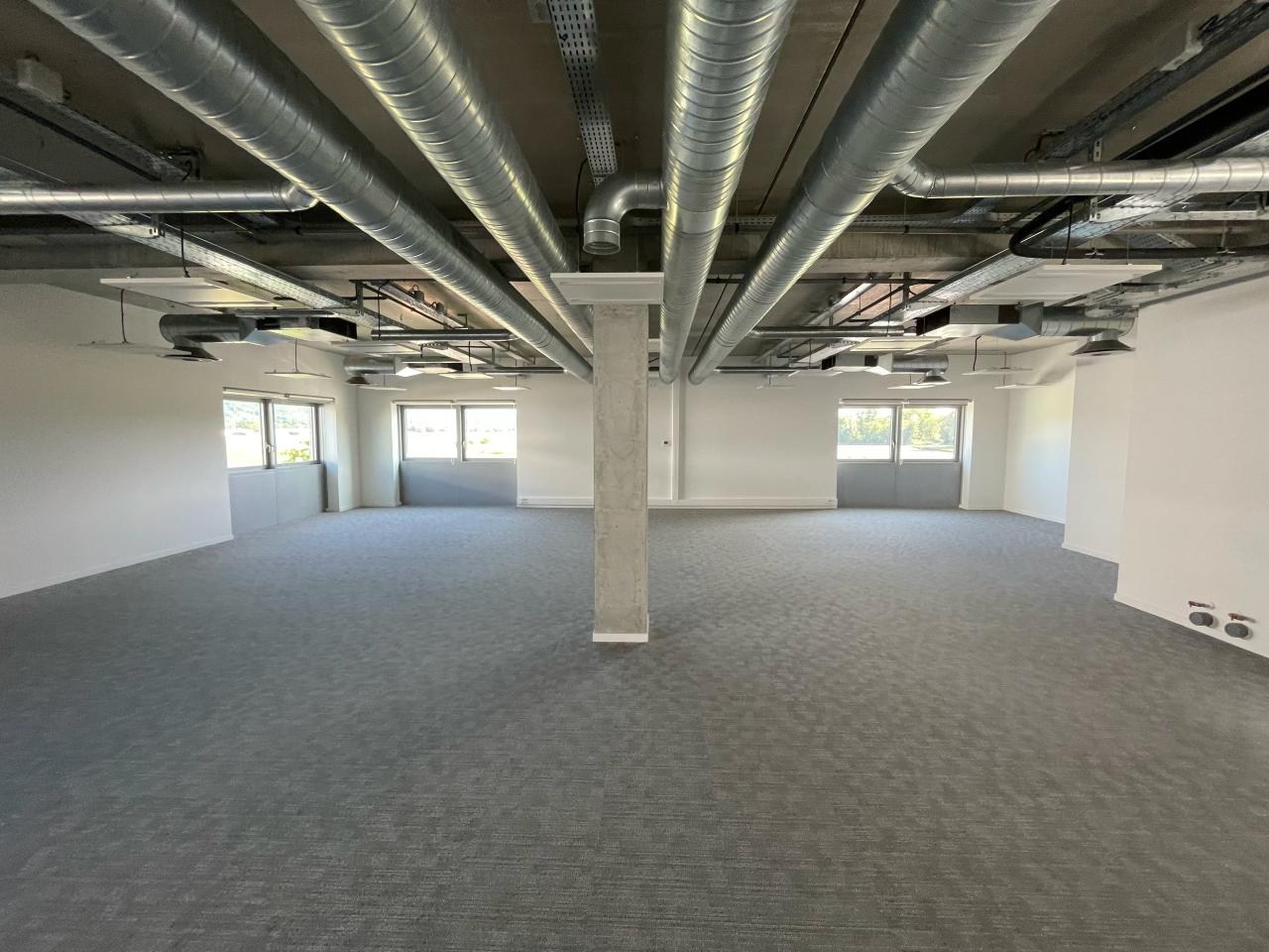 Local d'activité Motte-Servolex 527m² Location local d'activité Motte-Servolex Savoie OLACT2428026 2